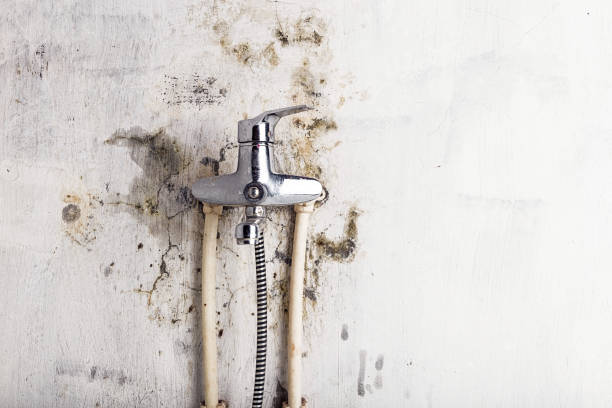 Best Water Damage Restoration  in Freeport, PA