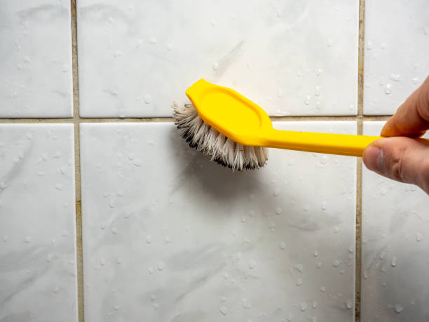Best Affordable Mold Removal  in Freeport, PA