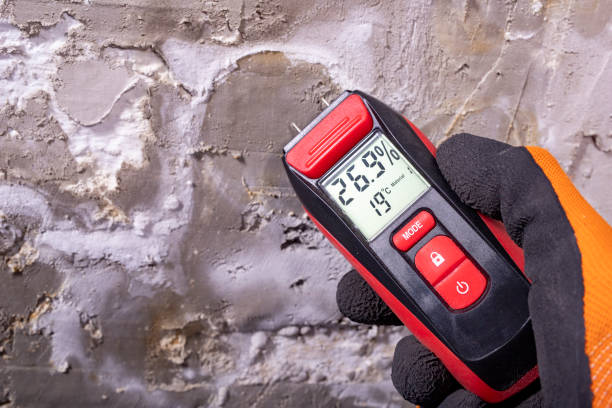 Best Mold Testing and Removal  in Freeport, PA