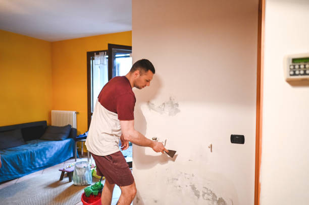 Best Mold Removal and Inspection  in Freeport, PA