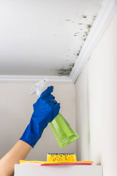 Water Damage Restoration in Freeport, PA
